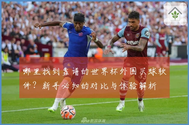 哪里找到靠谱的世界杯外围买球软件？新手必知的对比与体验解析