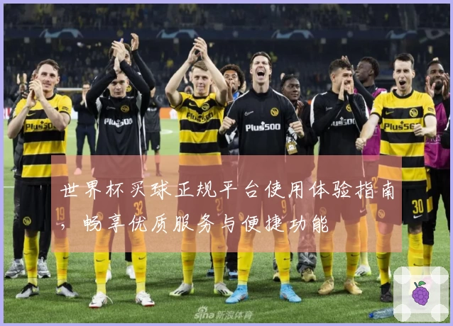 世界杯买球正规平台使用体验指南，畅享优质服务与便捷功能