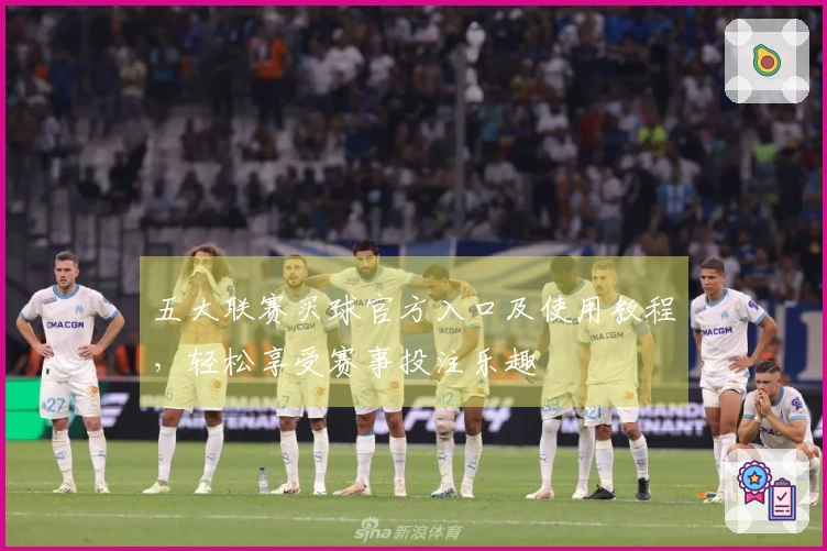 五大联赛买球官方入口及使用教程，轻松享受赛事投注乐趣