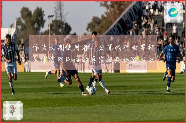 作为长期使用者，分享我对世界杯买球官网网址的真实使用体验与功能评价