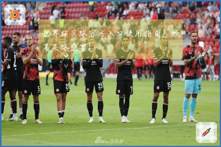 世界杯买球官方入口使用指南，畅享足球盛宴！