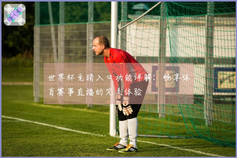 世界杯竞猜入口功能详解:畅享体育赛事直播的完美体验