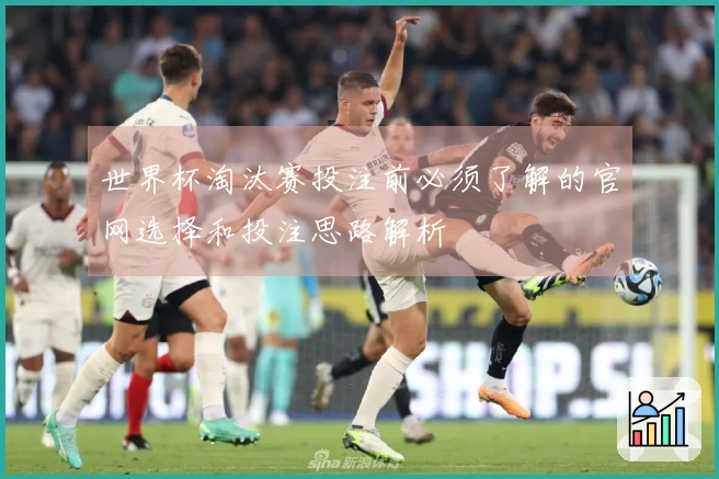 世界杯淘汰赛投注前必须了解的官网选择和投注思路解析