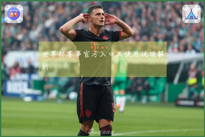 世界杯赛事官方入口及使用说明解析