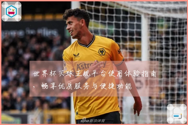 世界杯买球正规平台使用体验指南，畅享优质服务与便捷功能