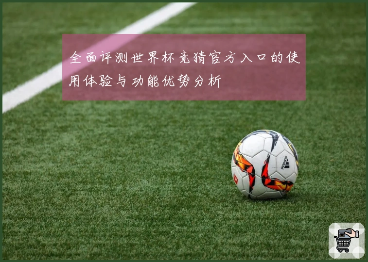 全面评测世界杯竞猜官方入口的使用体验与功能优势分析