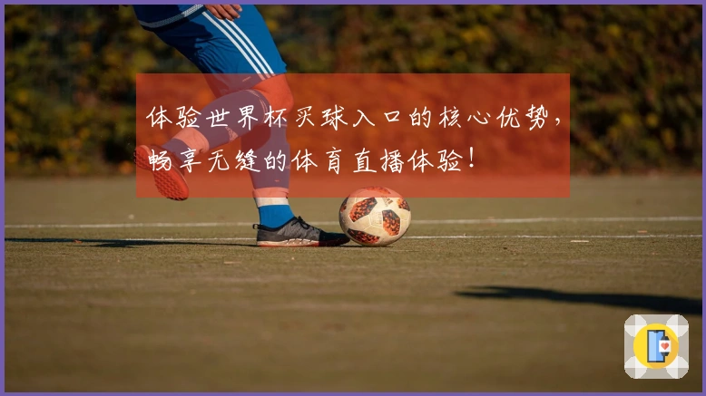 体验世界杯买球入口的核心优势,畅享无缝的体育直播体验!