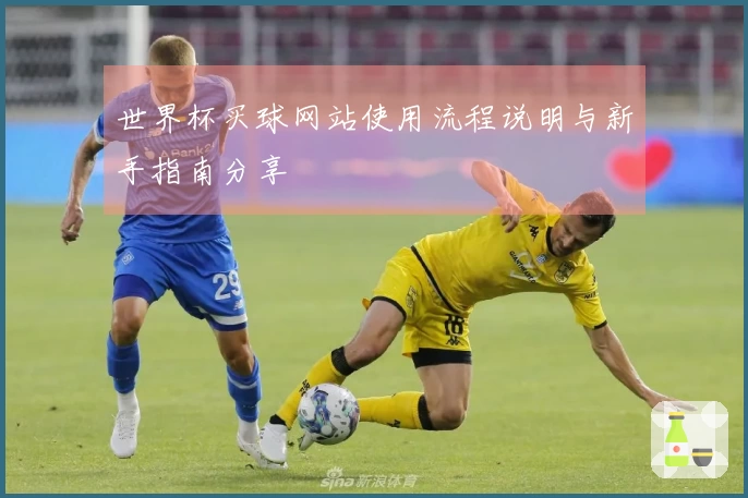 世界杯买球网站使用流程说明与新手指南分享