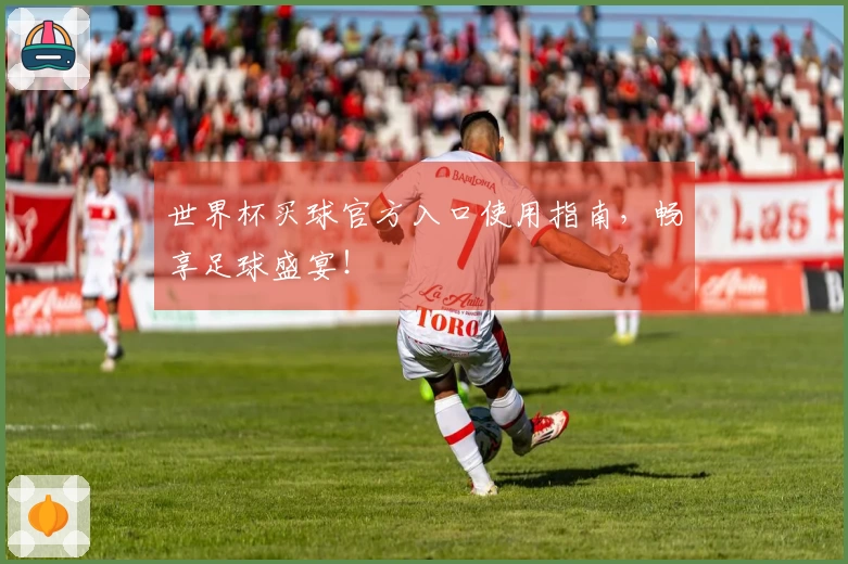 世界杯买球官方入口使用指南，畅享足球盛宴！